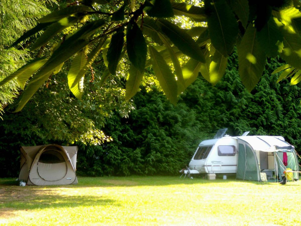 La Clairiere Du Verbamont Claudon