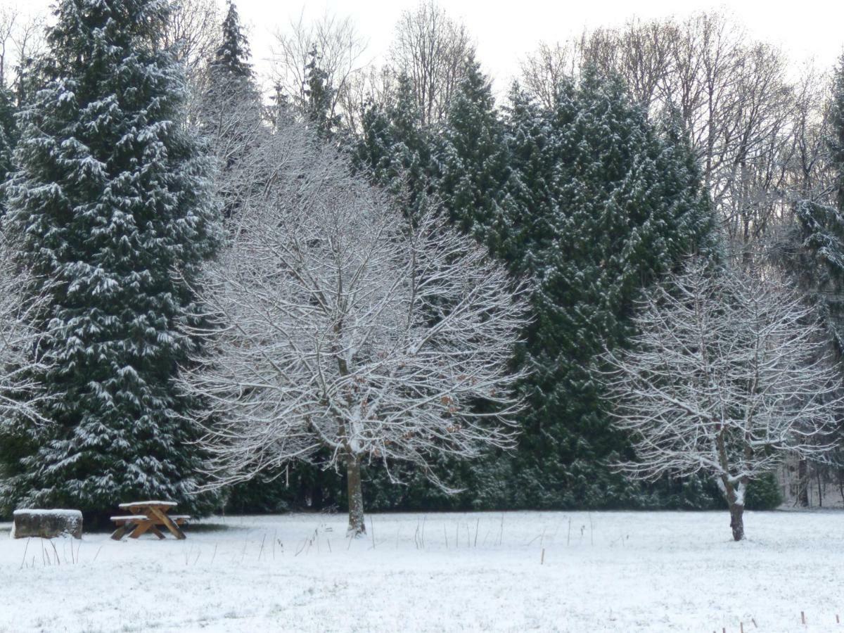 La Clairiere Du Verbamont