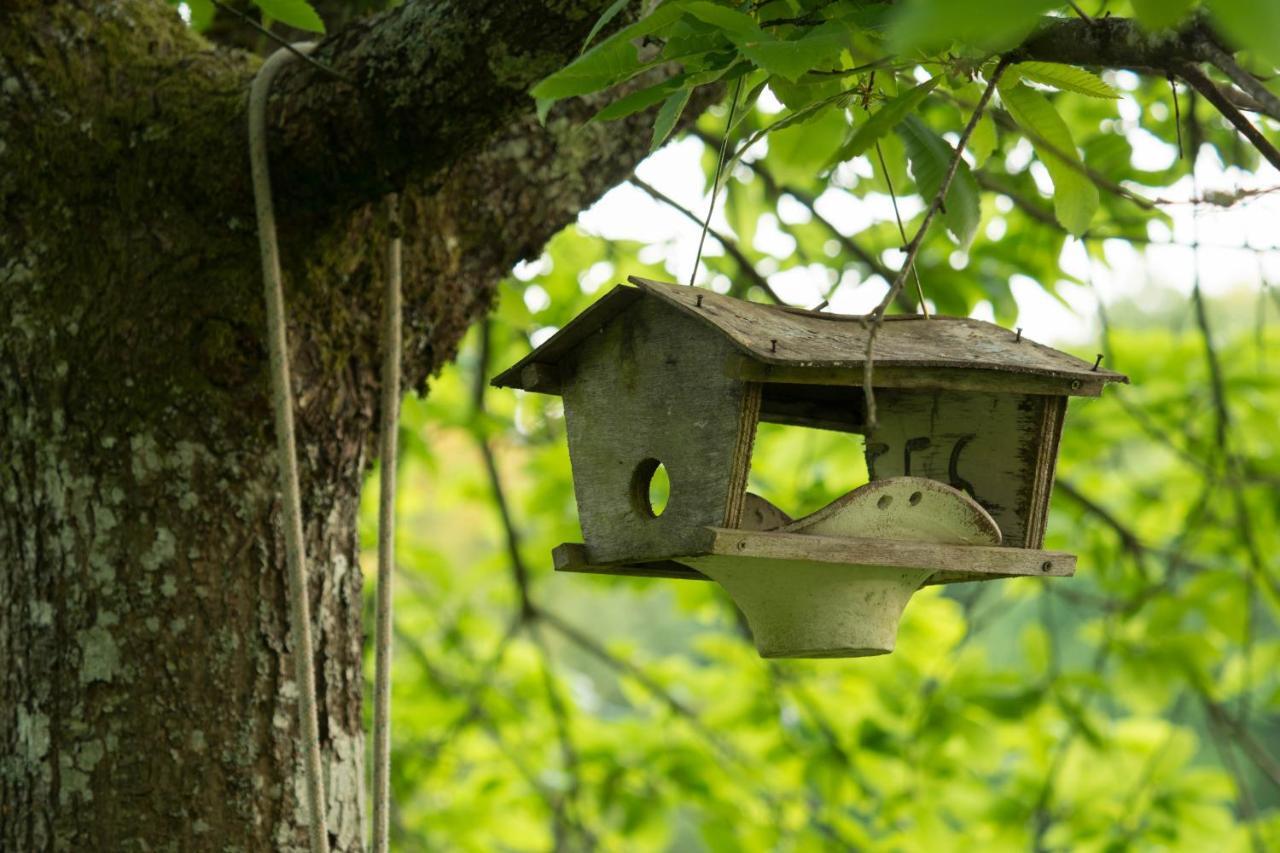 La Clairiere Du Verbamont Lodge *